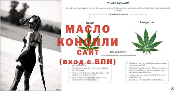 ГАЛЛЮЦИНОГЕННЫЕ ГРИБЫ Балахна