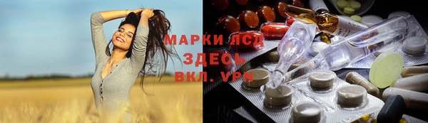 ГАЛЛЮЦИНОГЕННЫЕ ГРИБЫ Балахна