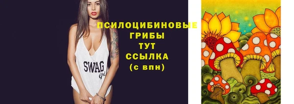 ГАЛЛЮЦИНОГЕННЫЕ ГРИБЫ Балахна