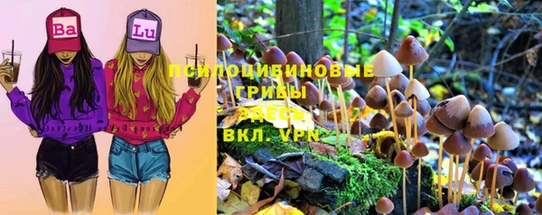 гидра Кинешма
